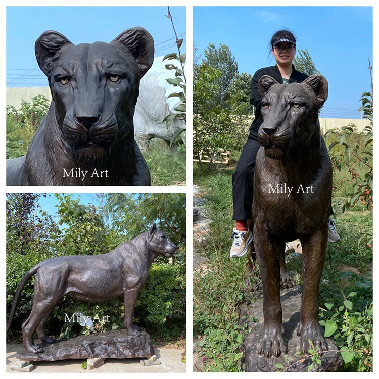 2.1. high quality assurance for the bronze lion statues-Mily Statue