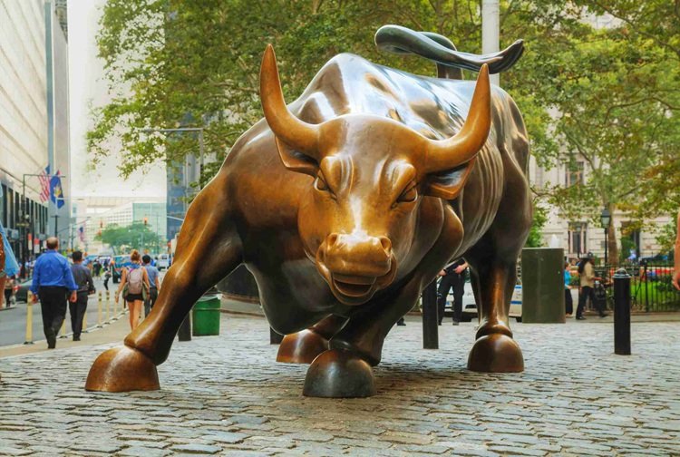 5. the charging bull