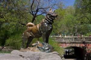 Bronze Balto in Central Park