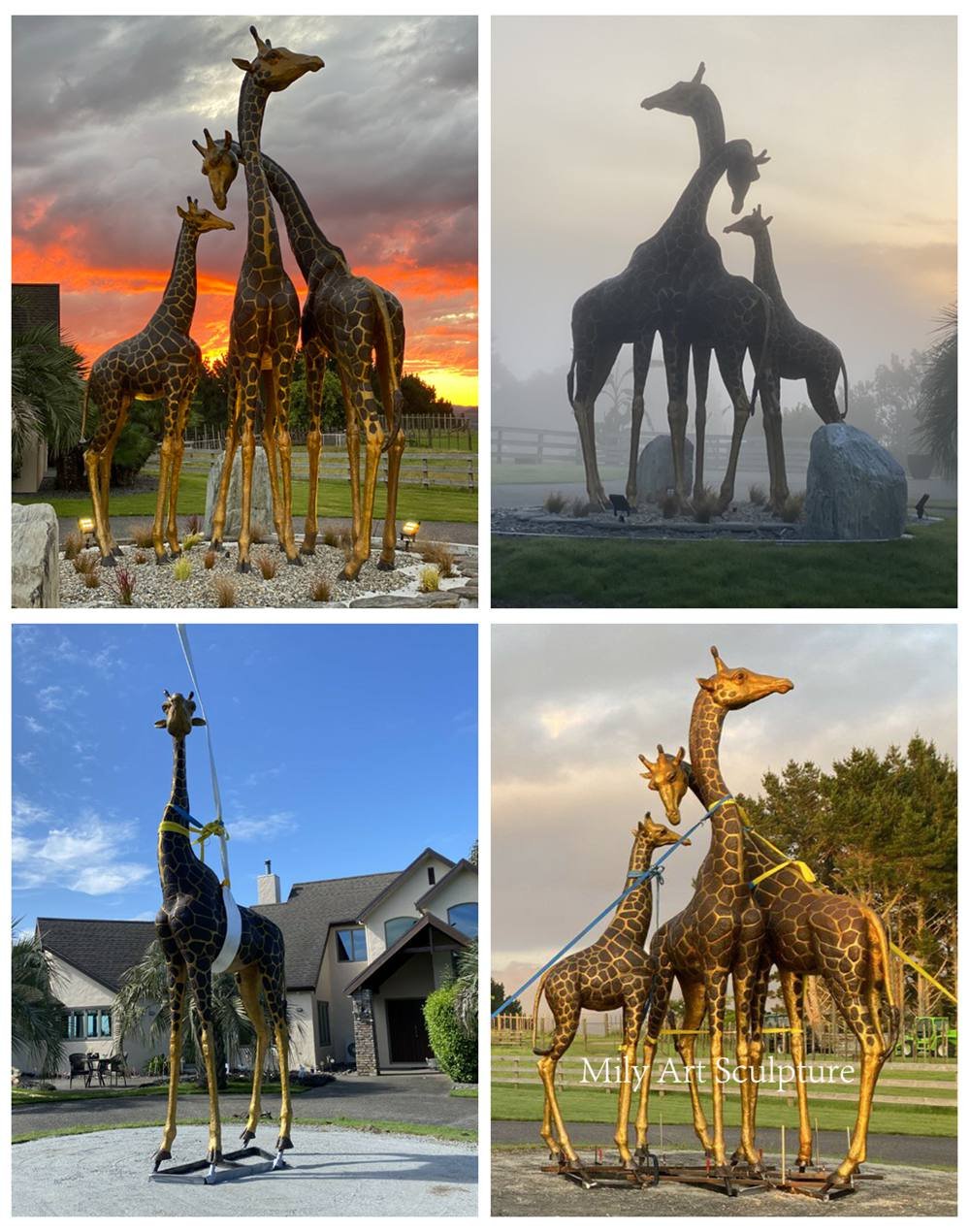 New Zealand Bronze Giraffe Statue Feedback