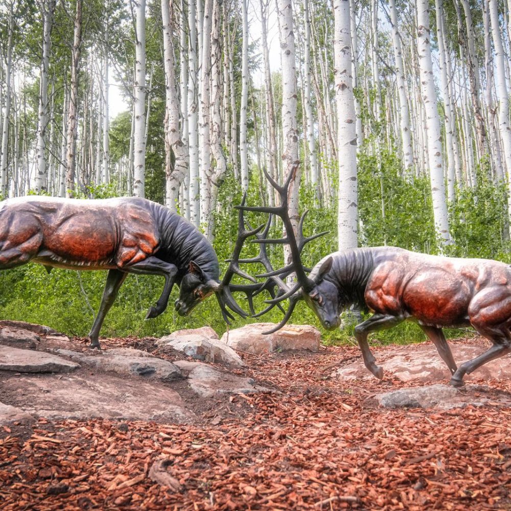 Life-size cast bronze fighting elk statues made by Mily