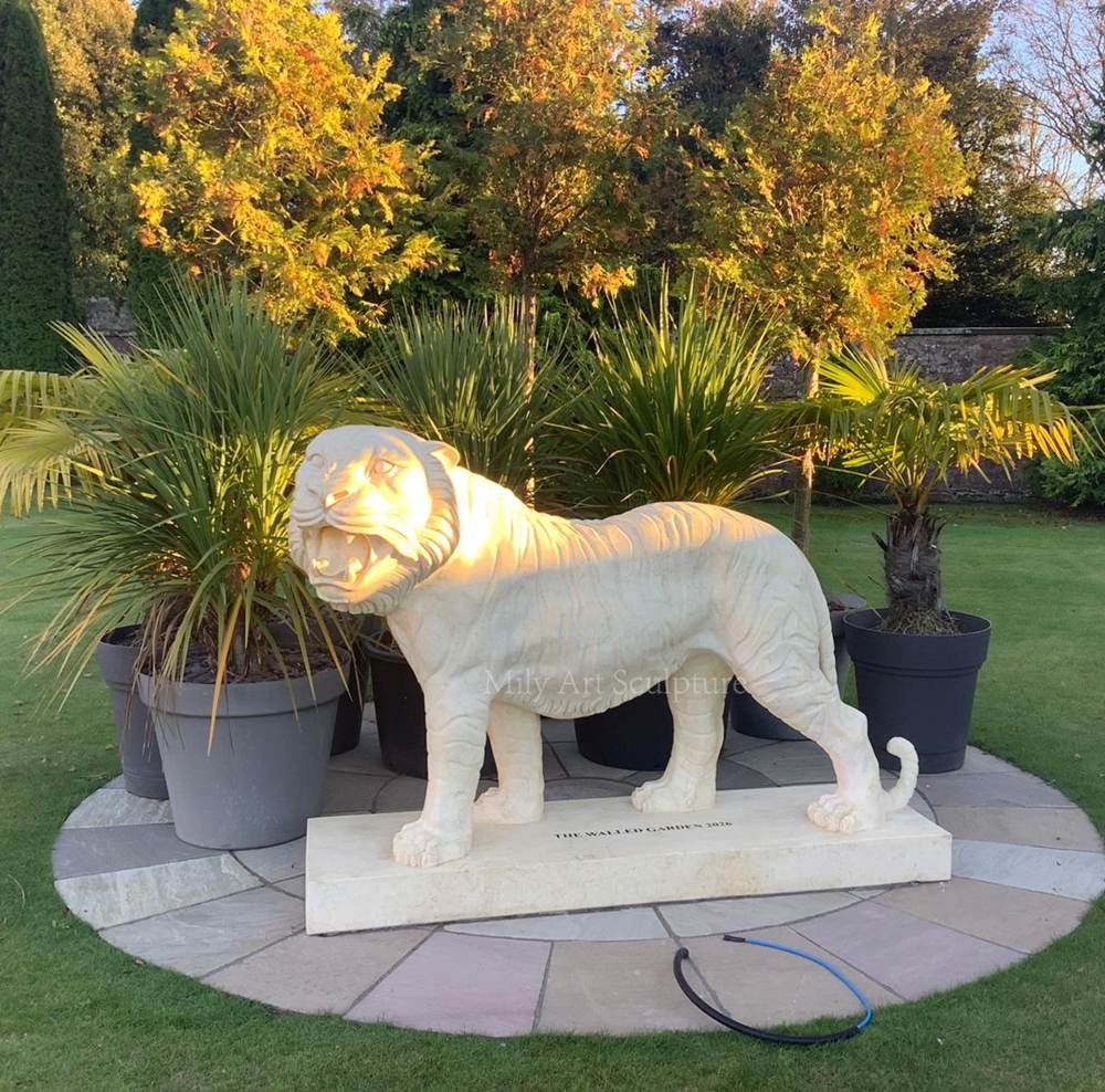 Life Size Outdoor Marble Tiger Statue for Sale MLMS-471 UK Garden Marble Tiger Statue Feedback